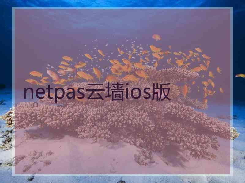 netpas云墙ios版