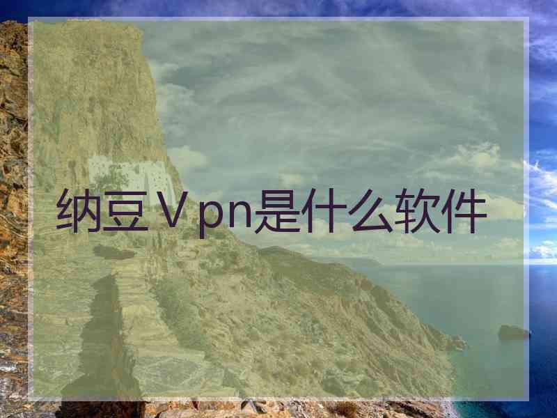 纳豆Ⅴpn是什么软件