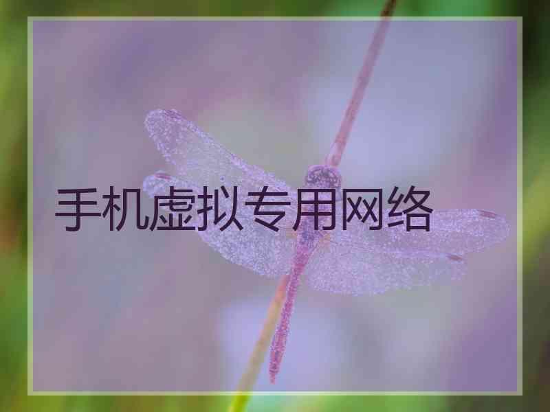 手机虚拟专用网络