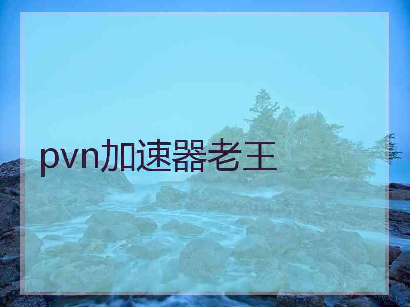 pvn加速器老王