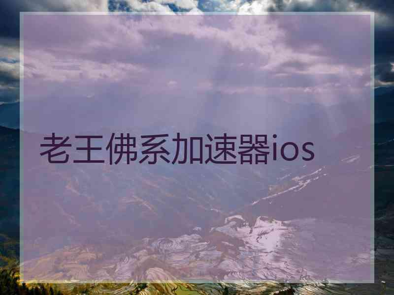 老王佛系加速器ios