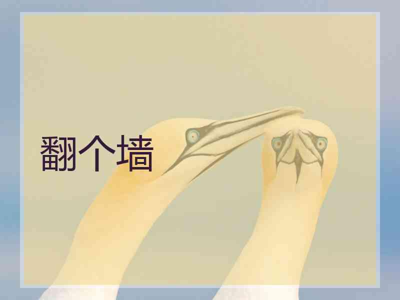 翻个墙