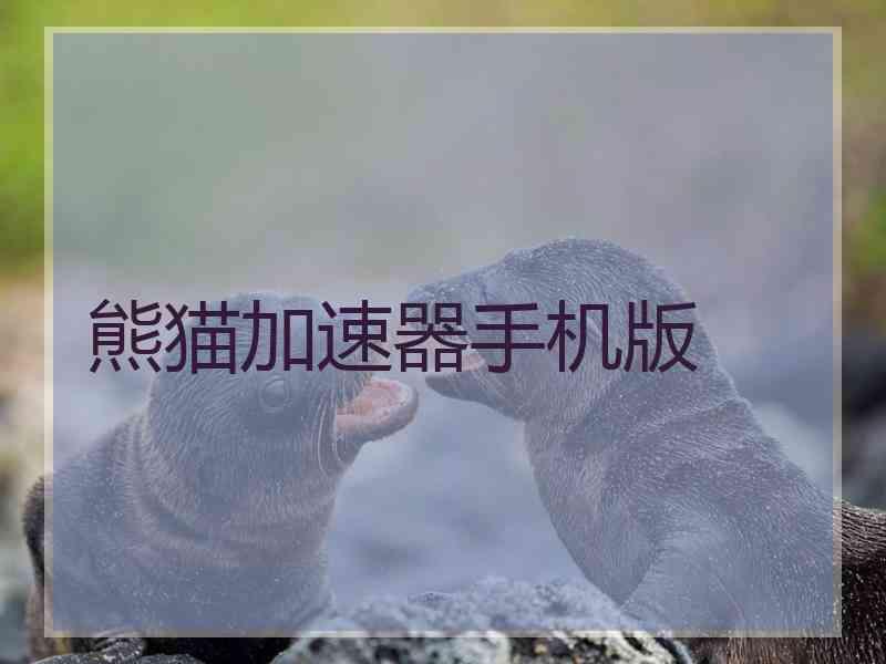 熊猫加速器手机版