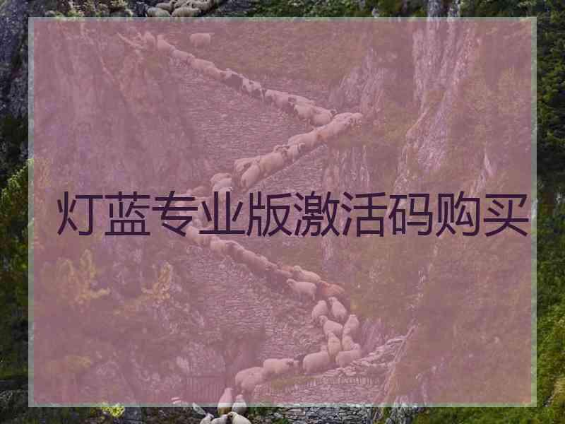 灯蓝专业版激活码购买