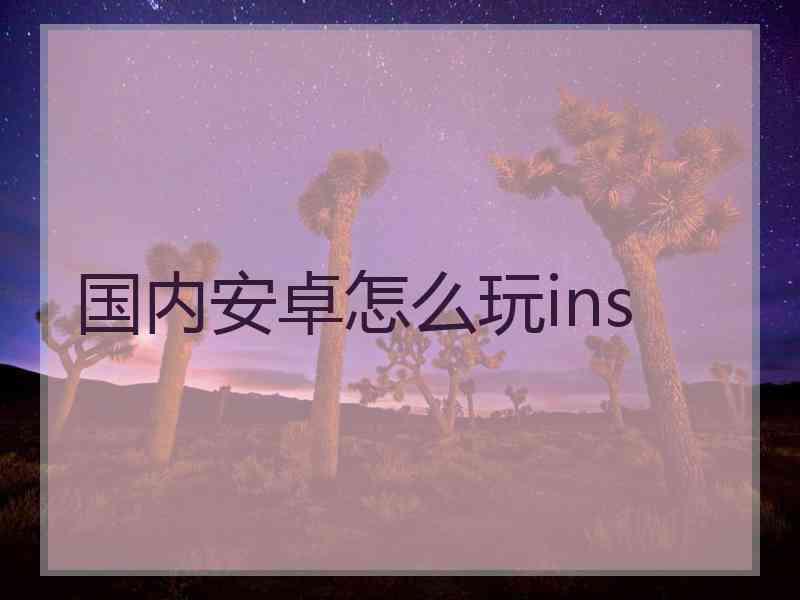 国内安卓怎么玩ins