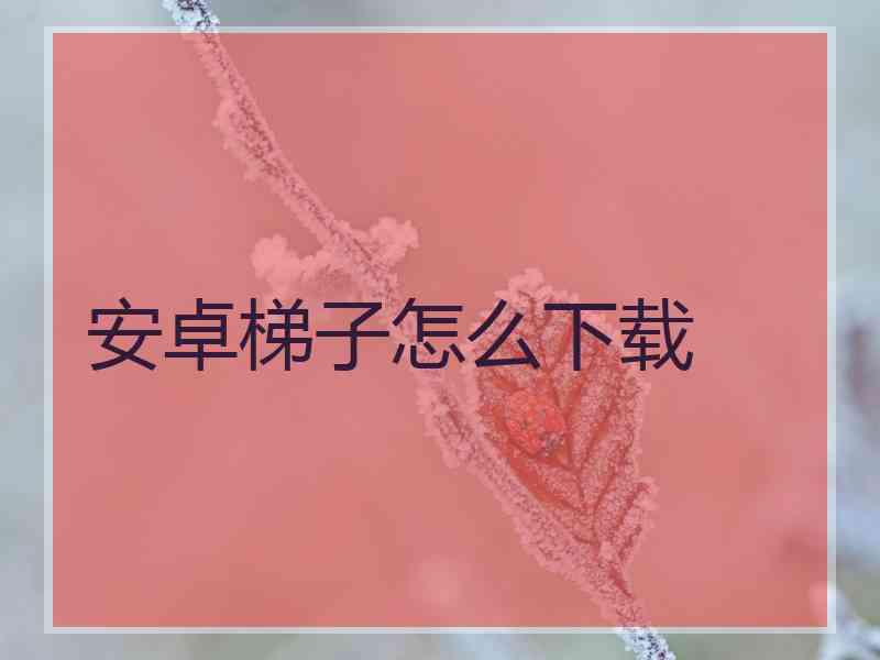 安卓梯子怎么下载