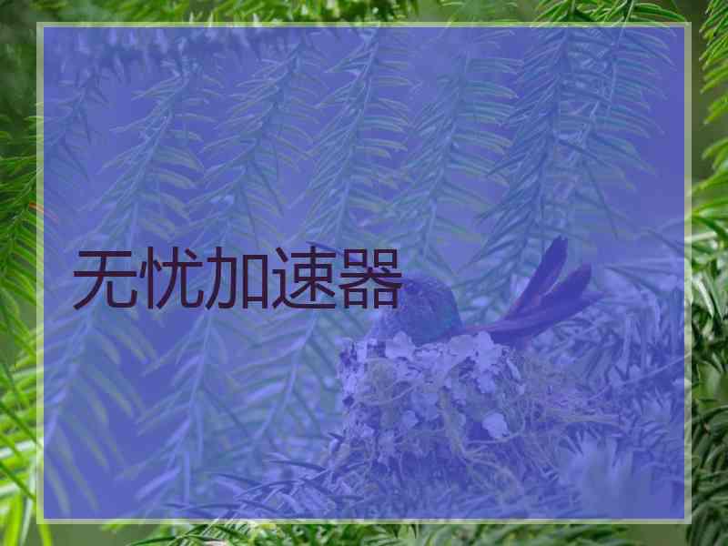无忧加速器