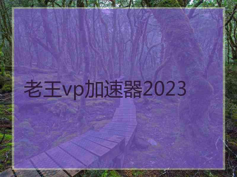老王vp加速器2023