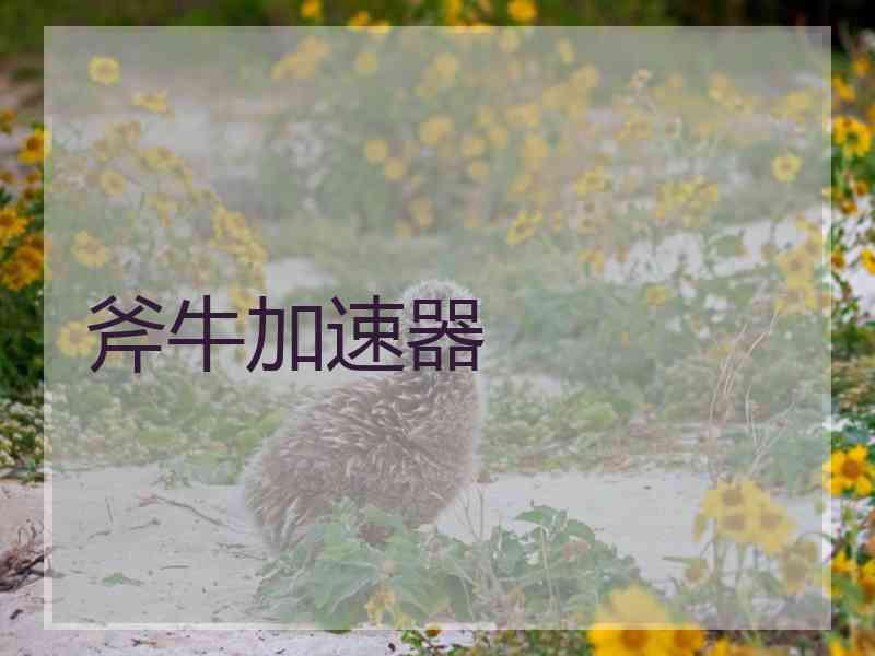 斧牛加速器