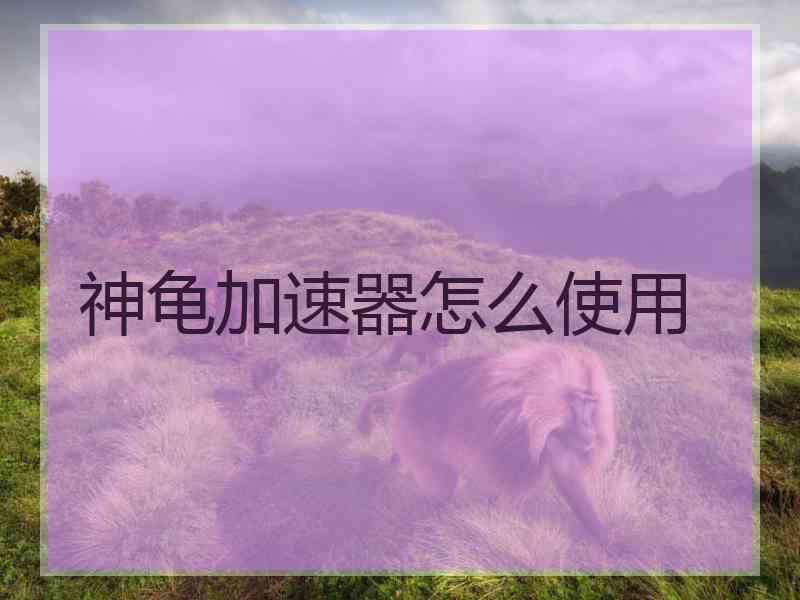 神龟加速器怎么使用
