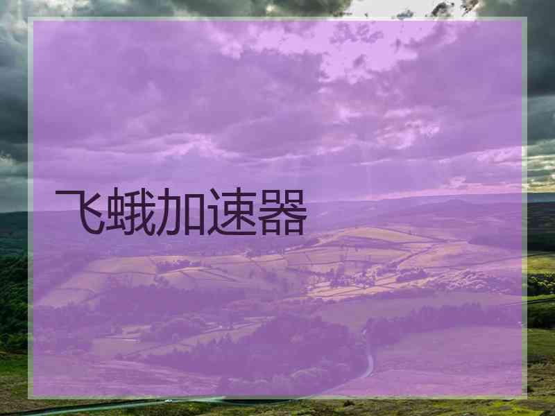 飞蛾加速器