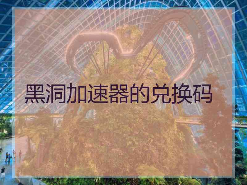 黑洞加速器的兑换码