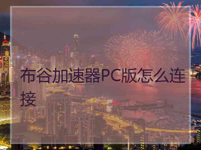 布谷加速器PC版怎么连接