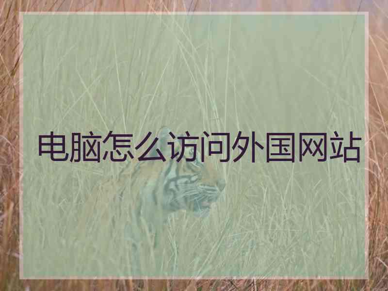 电脑怎么访问外国网站