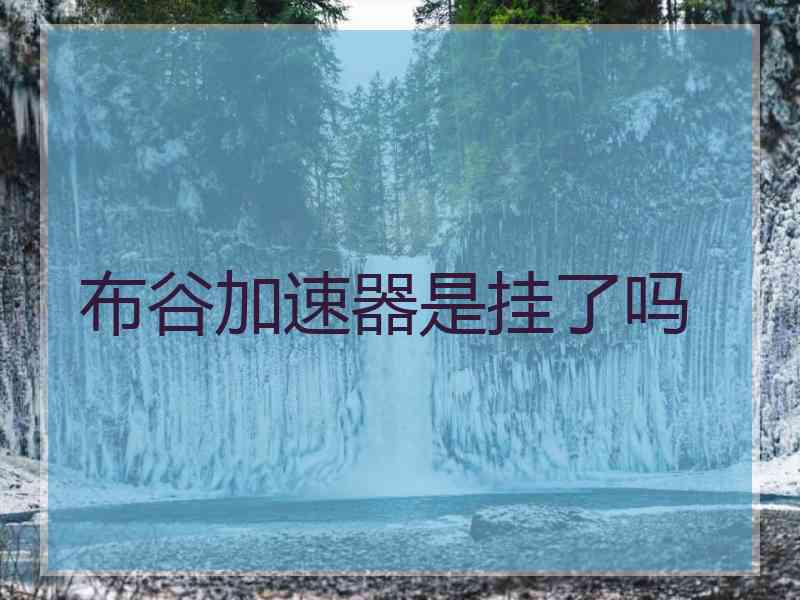 布谷加速器是挂了吗