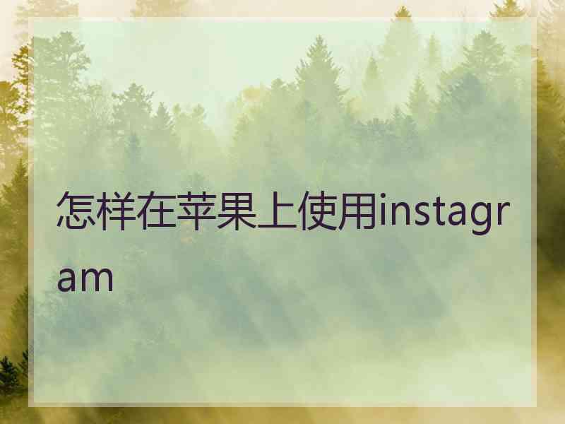 怎样在苹果上使用instagram