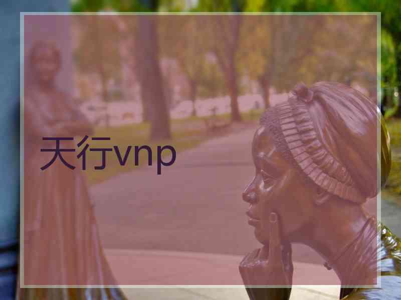 天行vnp